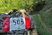 40 Sono sul sent. CAI-Zogno-505